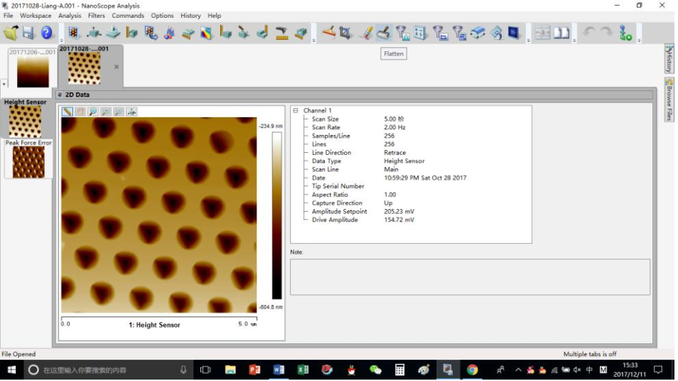 AFM数据分析软件Nanoscope - 颗研谷